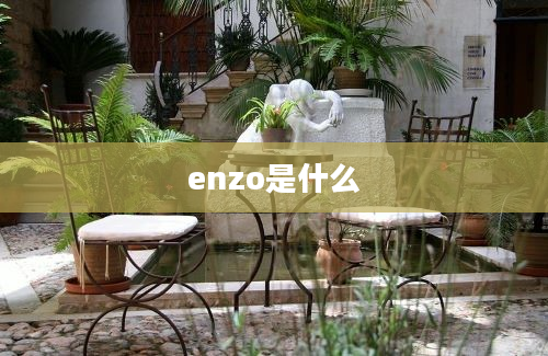 enzo是什么