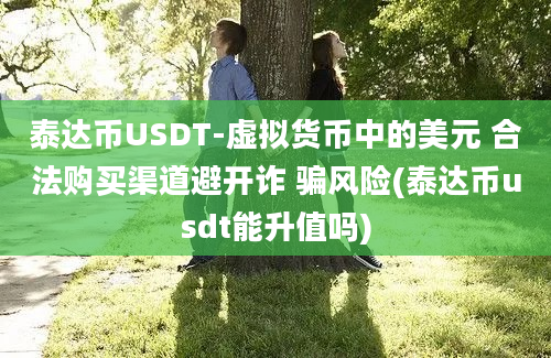 泰达币USDT-虚拟货币中的美元 合法购买渠道避开诈 骗风险(泰达币usdt能升值吗)