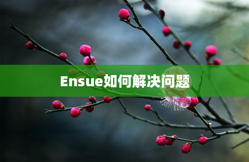 Ensue如何解决问题