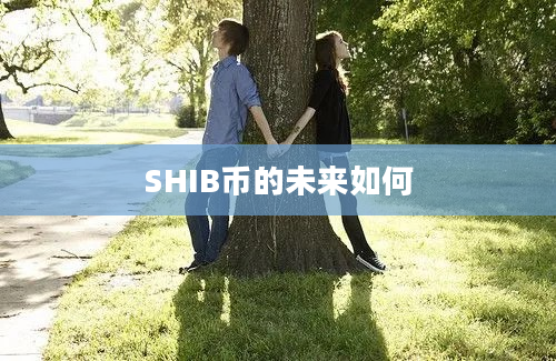 SHIB币的未来如何