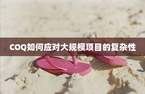 COQ如何应对大规模项目的复杂性