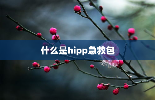 什么是hipp急救包