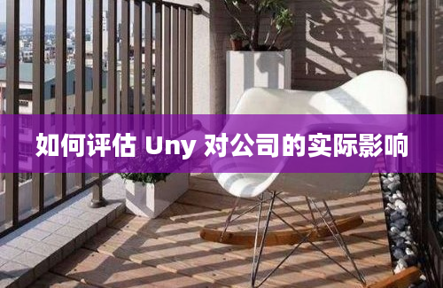 如何评估 Uny 对公司的实际影响