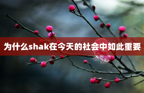 为什么shak在今天的社会中如此重要