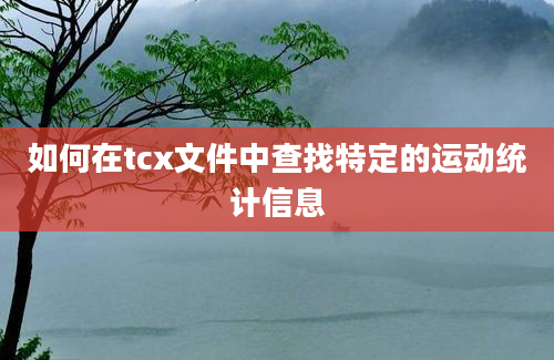 如何在tcx文件中查找特定的运动统计信息