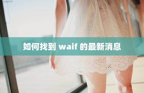 如何找到 waif 的最新消息