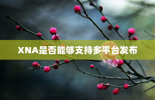 XNA是否能够支持多平台发布