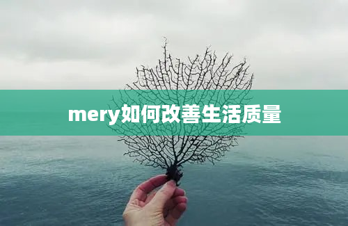 mery如何改善生活质量