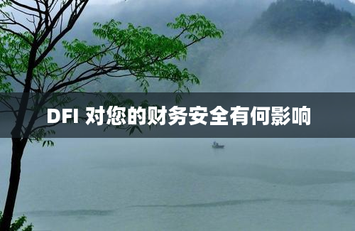 DFI 对您的财务安全有何影响