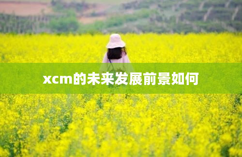 xcm的未来发展前景如何