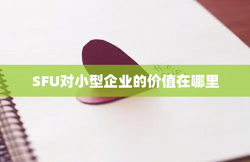 SFU对小型企业的价值在哪里