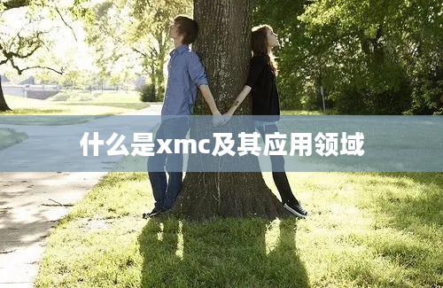 什么是xmc及其应用领域