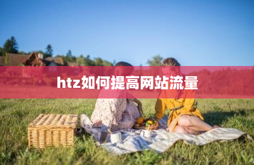 htz如何提高网站流量