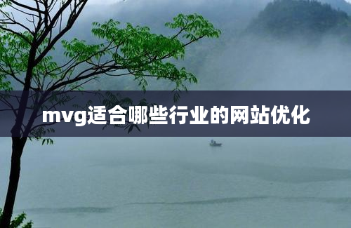 mvg适合哪些行业的网站优化