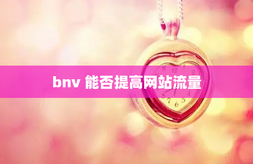 bnv 能否提高网站流量