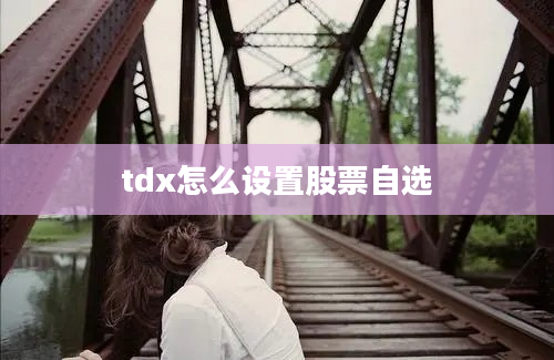 tdx怎么设置股票自选