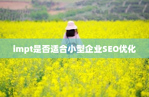 impt是否适合小型企业SEO优化