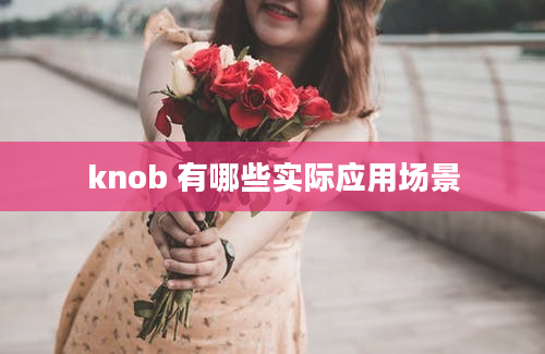 knob 有哪些实际应用场景