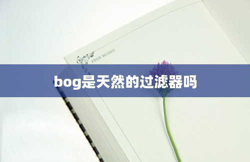 bog是天然的过滤器吗