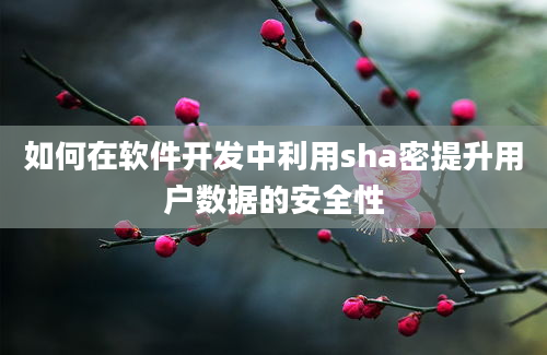 如何在软件开发中利用sha密提升用户数据的安全性