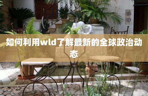 如何利用wld了解最新的全球政治动态