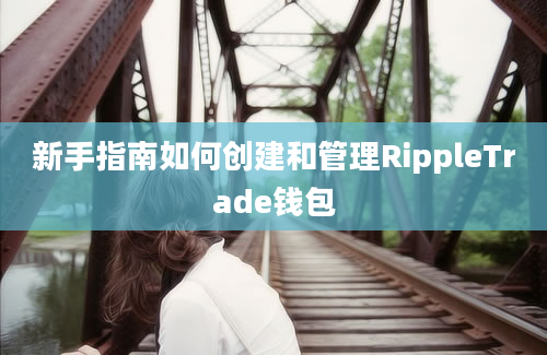 新手指南如何创建和管理RippleTrade钱包