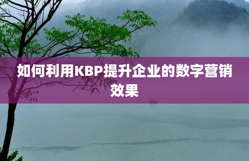 如何利用KBP提升企业的数字营销效果