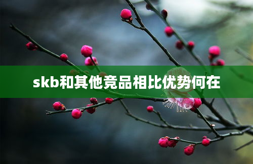 skb和其他竞品相比优势何在