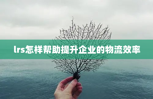 lrs怎样帮助提升企业的物流效率