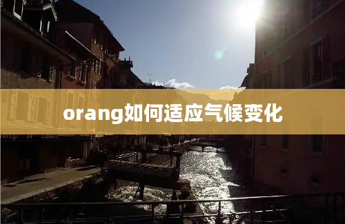 orang如何适应气候变化