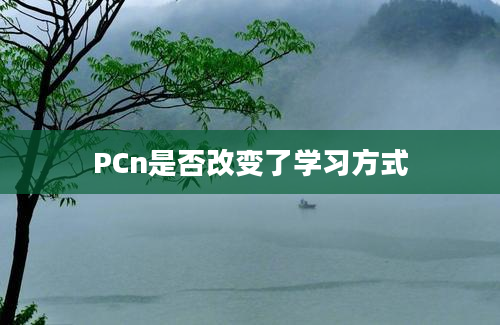 PCn是否改变了学习方式