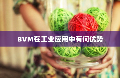 BVM在工业应用中有何优势