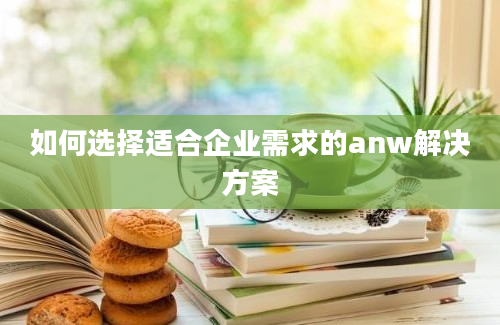 如何选择适合企业需求的anw解决方案