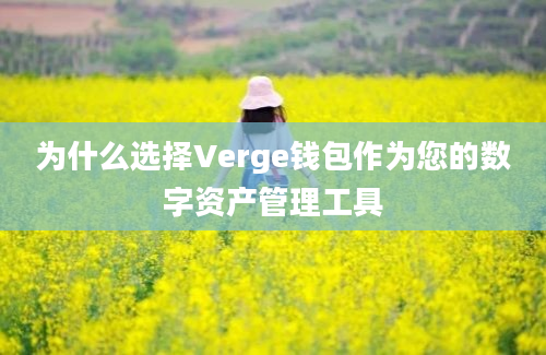 为什么选择Verge钱包作为您的数字资产管理工具