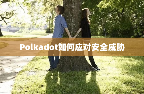 Polkadot如何应对安全威胁