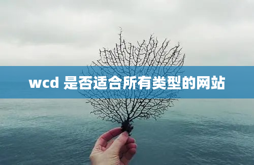 wcd 是否适合所有类型的网站