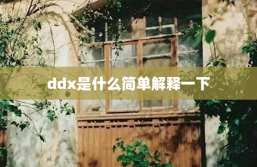 ddx是什么简单解释一下