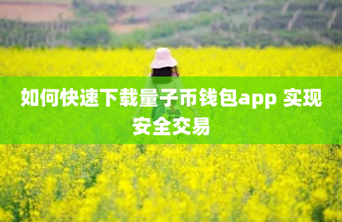 如何快速下载量子币钱包app 实现安全交易