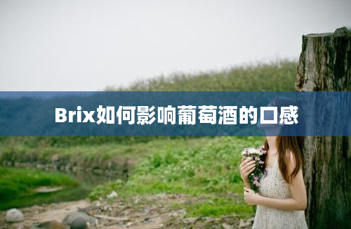 Brix如何影响葡萄酒的口感