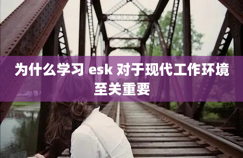 为什么学习 esk 对于现代工作环境至关重要