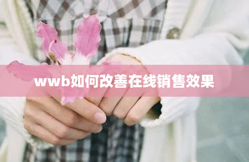 wwb如何改善在线销售效果