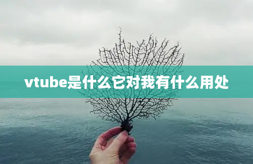 vtube是什么它对我有什么用处