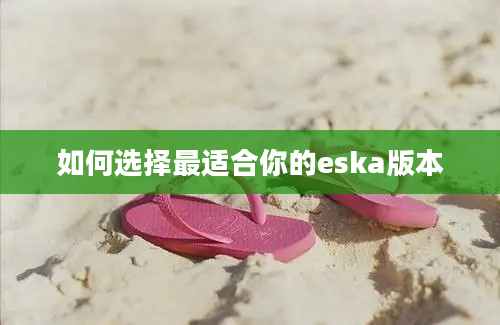 如何选择最适合你的eska版本