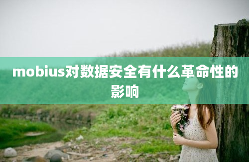 mobius对数据安全有什么革命性的影响