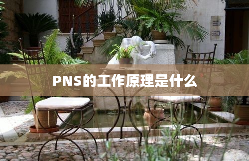 PNS的工作原理是什么