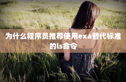 为什么程序员推荐使用exa替代标准的ls命令