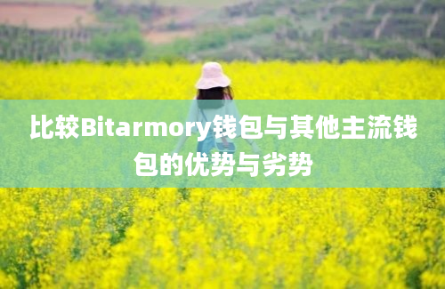 比较Bitarmory钱包与其他主流钱包的优势与劣势