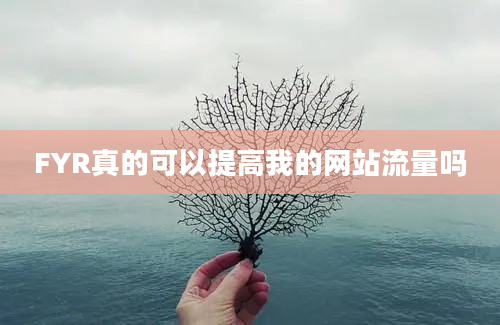 FYR真的可以提高我的网站流量吗