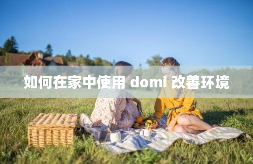 如何在家中使用 domi 改善环境