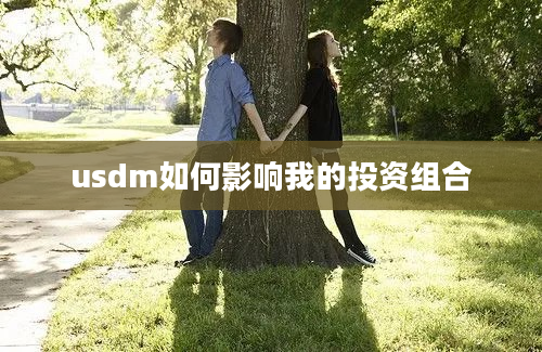 usdm如何影响我的投资组合